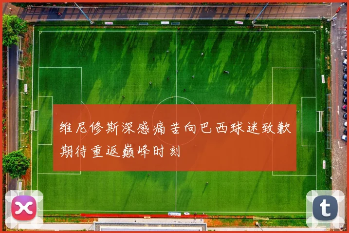 维尼修斯深感痛苦向巴西球迷致歉期待重返巅峰时刻