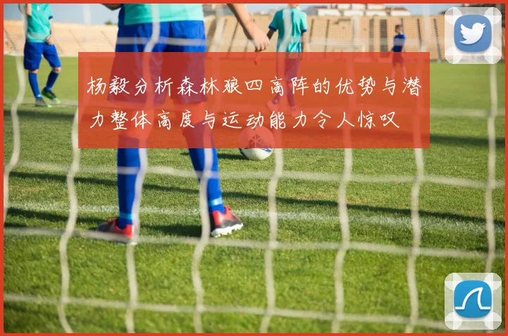 杨毅分析森林狼四高阵的优势与潜力整体高度与运动能力令人惊叹