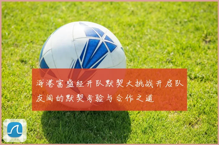 海港富盛经开队默契大挑战开启队友间的默契考验与合作之道